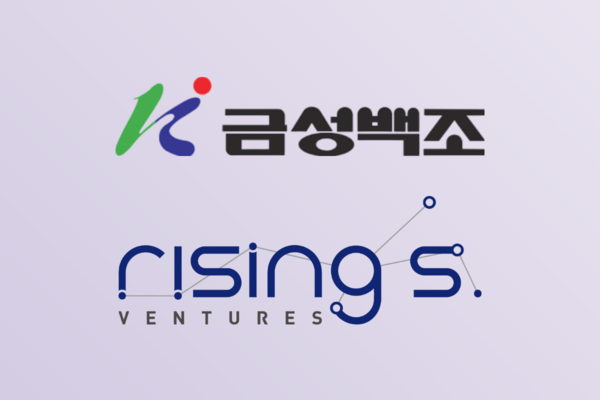 [건설사 점검] [금성백조] ⑬ 야심찬 라이징에스벤처스, 투자 전략 '시험... - 뉴스 썸네일 이미지