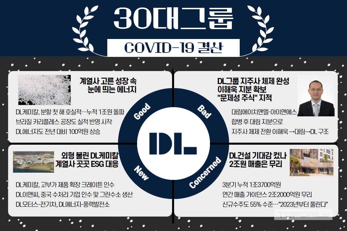 새롭게 탄생한 DL그룹, 이해욱 지배력 확보 과정은 구태