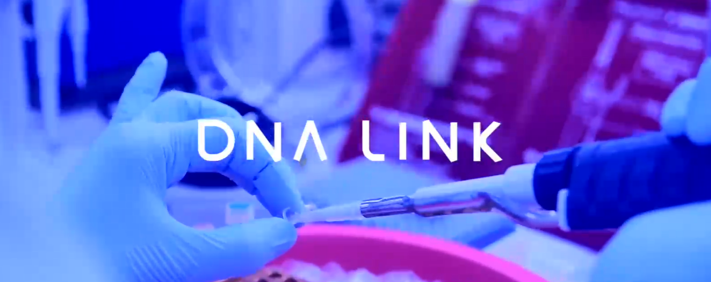 디엔에이링크, 엔터미디어 흡수합병 배경은