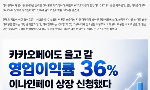 이나인페이 IPO 심사대 오른 '영업이익률 30%'...기업송금 규제 리스크... - 뉴스 썸네일 이미지